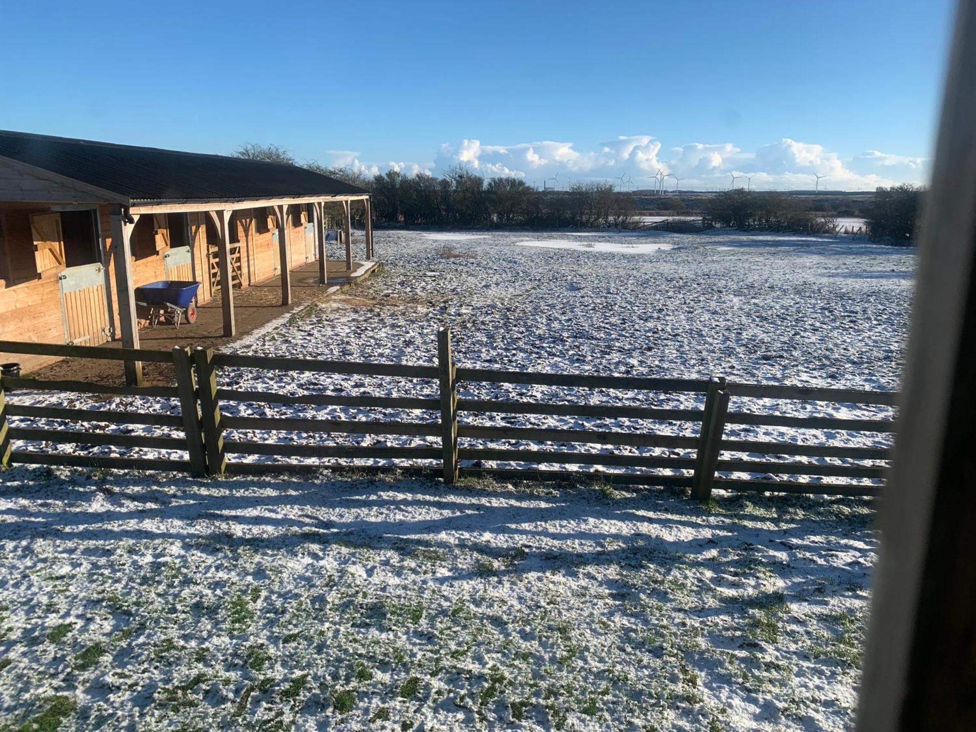 Owls Nest Log Cabin Morpeth Esterno foto