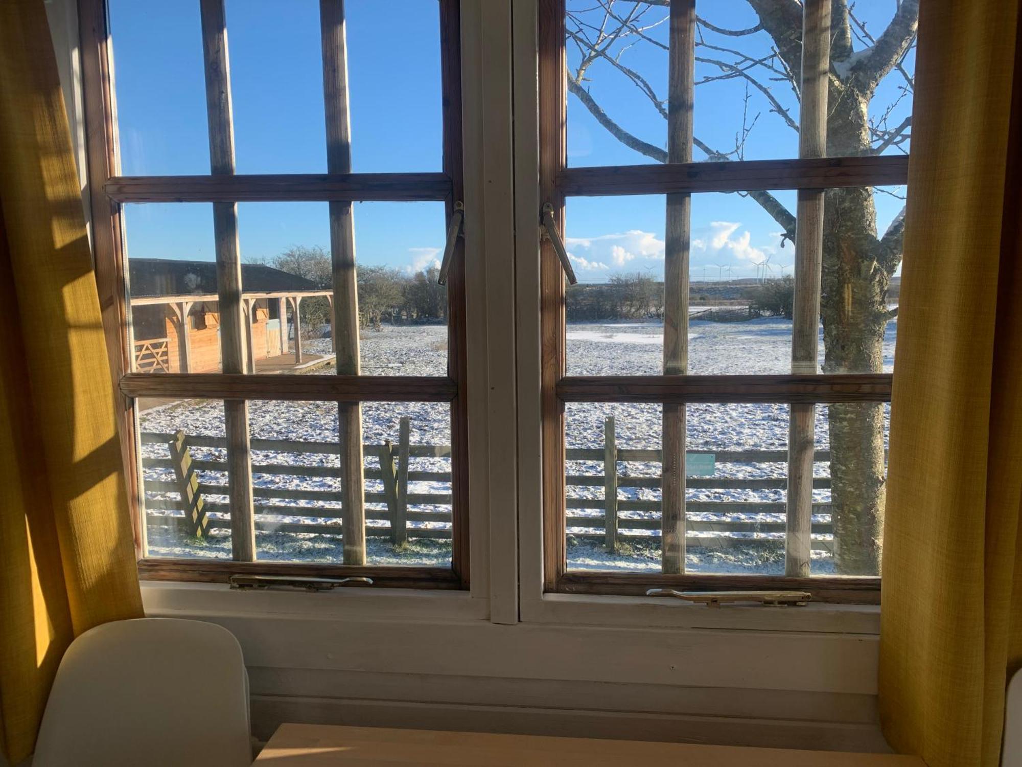 Owls Nest Log Cabin Morpeth Esterno foto